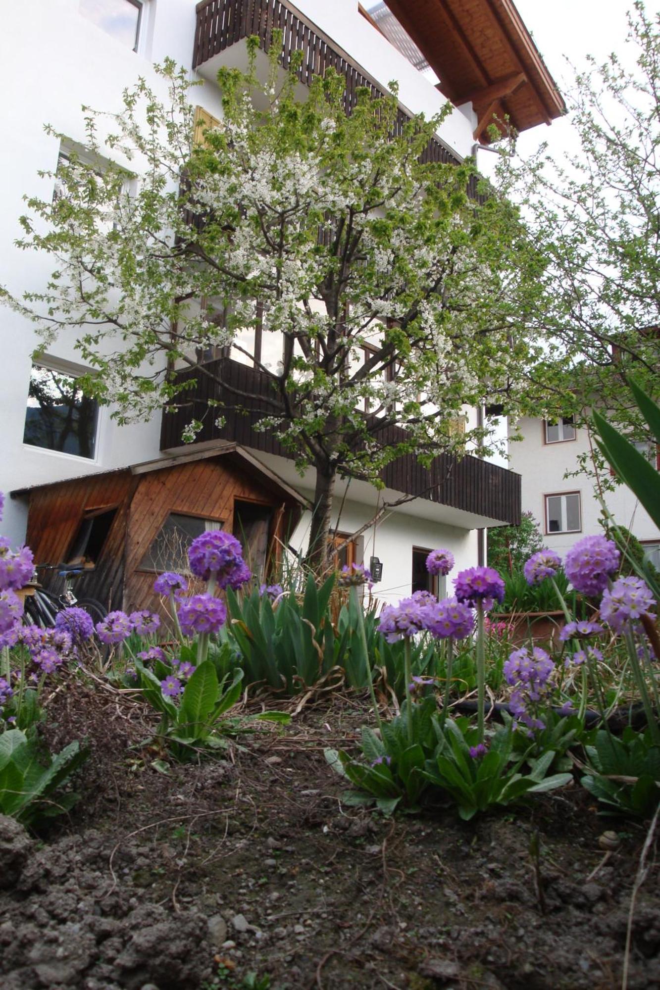 Residence Hofer Bressanone Dış mekan fotoğraf