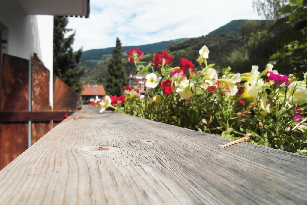 Residence Hofer Bressanone Dış mekan fotoğraf